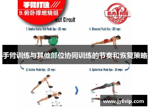 手臂训练与其他部位协同训练的节奏和恢复策略